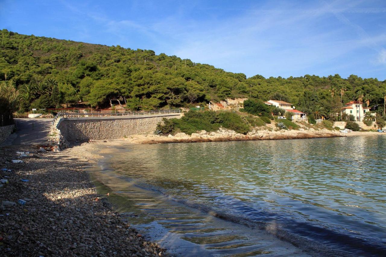 Apartments By The Sea Milna, Vis - 8896 Zewnętrze zdjęcie